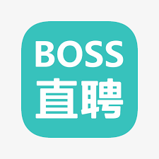 BOSS直聘(可定制)